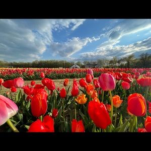 Meet your Posher, Beth